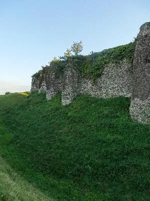 Chateau d'Arques-la-Bataille