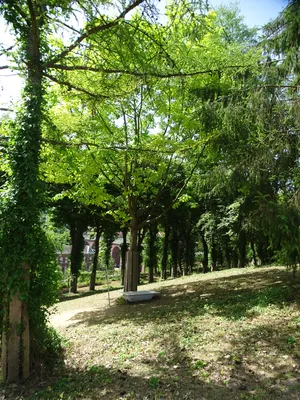 Jardin de l'Ouest à Elbeuf-sur-Seine