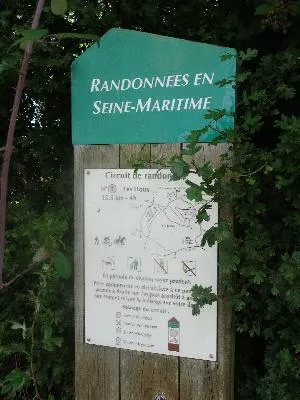 Randonnées en Seine-Maritime : N°5 Les Houx au Mesnil-Lieubray