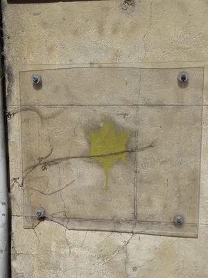 Plaque aux étoiles de la Synagogue d'Elbeuf-sur-Seine