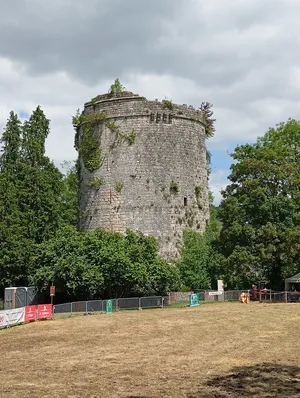 Château ducal de Lillebonne