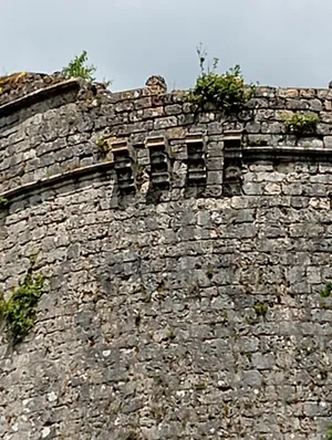 Château ducal de Lillebonne