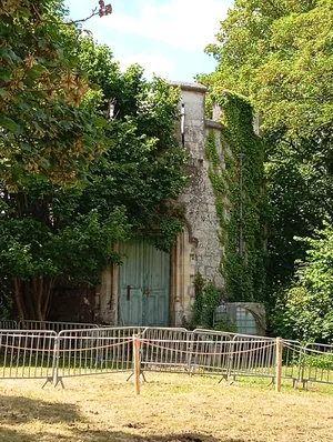 Château ducal de Lillebonne