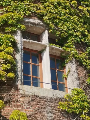 Tour Mailly à Saint-Léger-aux-Bois