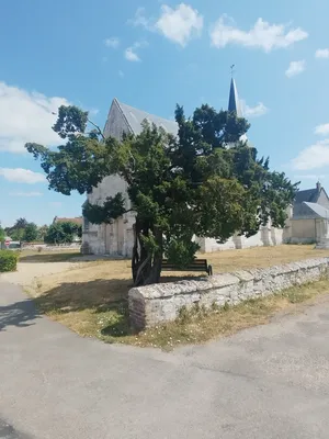 If de Saint-Pierre-de-Manneville