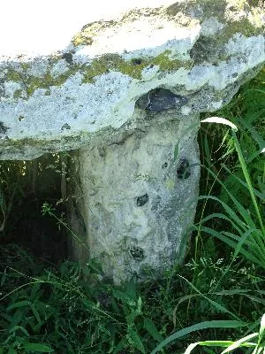 Tombe du Druide à Ymare