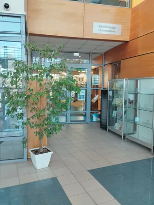 Bibliothèque universitaire de l'ESPE à Mont-Saint-Aignan
