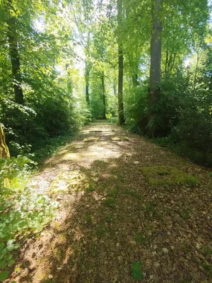 Base V1 N° 188 Le bout du haut à Rétonval