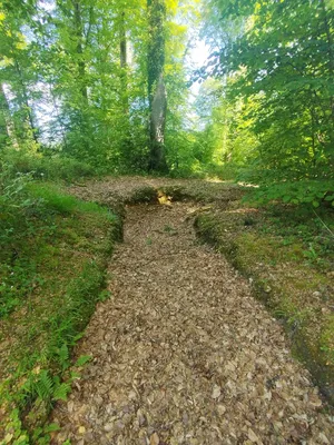 Base V1 N° 188 Le bout du haut à Rétonval