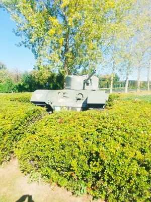 Char Astonia à Fontaine-la-Mallet