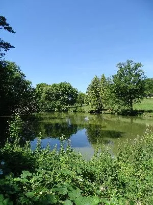 Parc du Château de Brémontier-Merval