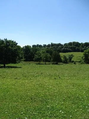 Parc du Château de Brémontier-Merval