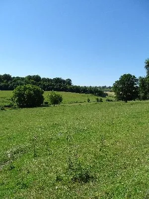 Parc du Château de Brémontier-Merval