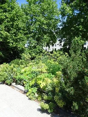Jardin Jean de Verrazane à Rouen