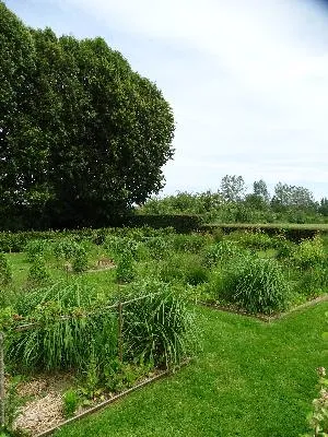 Le Jardin retrouvé au château de Martainville