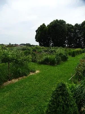 Le Jardin retrouvé au château de Martainville