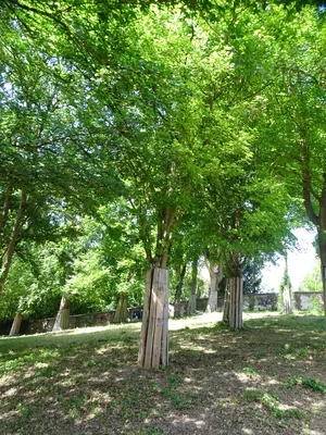 Jardin de l'Ouest à Elbeuf-sur-Seine