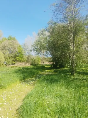 Arboretum de Blangy-sur-Bresle