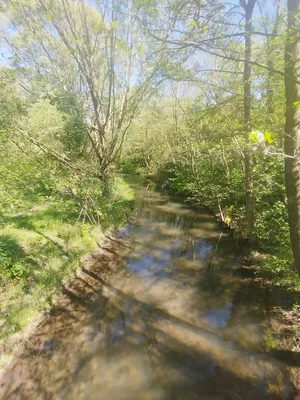 Arboretum de Blangy-sur-Bresle