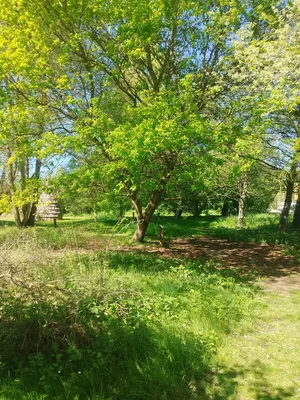 Arboretum de Blangy-sur-Bresle