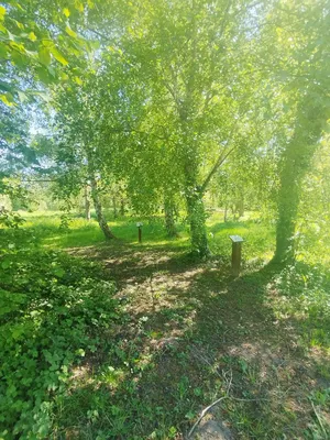 Arboretum de Blangy-sur-Bresle