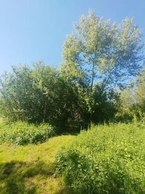 Arboretum de Blangy-sur-Bresle
