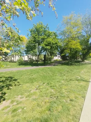 Parc du Clos Saint-Antoine à Petit-Quevilly