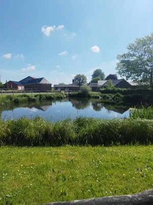 Mare de Saint-Léger-aux-Bois
