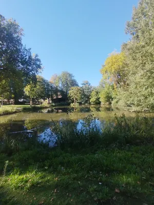 Parc de la Mairie à Harfleur