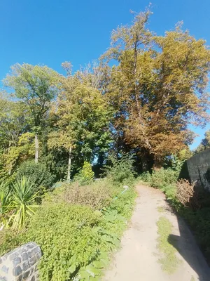 Parc de la Mairie à Harfleur