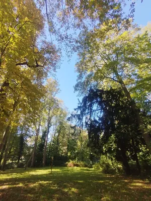 Parc de la Mairie à Harfleur