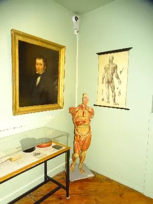 Musée Flaubert et d'Histoire de la Médecine à Rouen