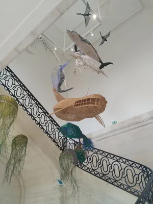 Muséum d'Histoire Naturelle du Havre