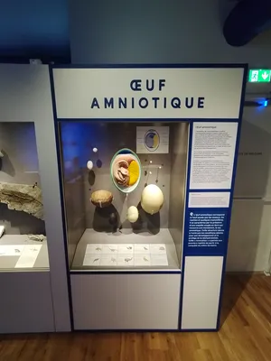 Muséum d'Histoire Naturelle du Havre