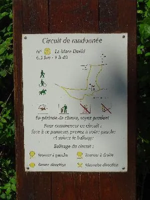 Randonnées en Seine-Maritime : N°15 La Mare David de Mesnil-Raoul