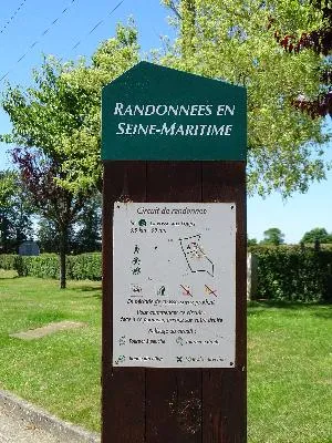 Randonnées en Seine-Maritime : N°7 La Fosse aux Loups à Servaville-Salmonville