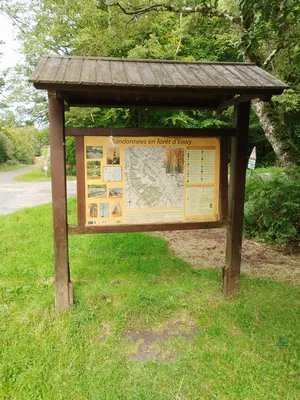 Randonnées en forêt d'Eawy à Saint-Saëns