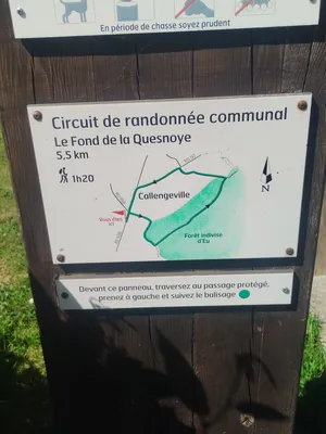 Randonnées en Seine-Maritime : Le Fond de la Quesnoye à Callengeville