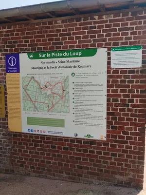 Randonnées en Seine-Maritime : N° 18 Sur la piste du Loup à Montigny