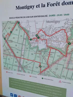 Randonnées en Seine-Maritime : N° 18 Sur la piste du Loup à Montigny