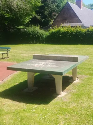 Table de Ping-Pong extérieure de Routes