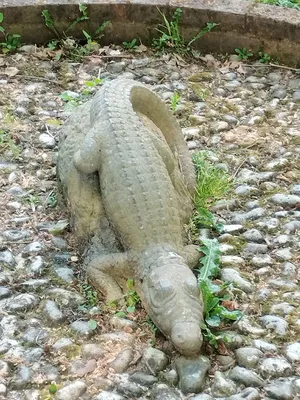 Statue de crocodile à Barentin