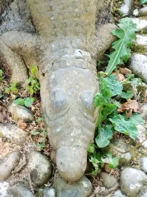 Statue de crocodile à Barentin