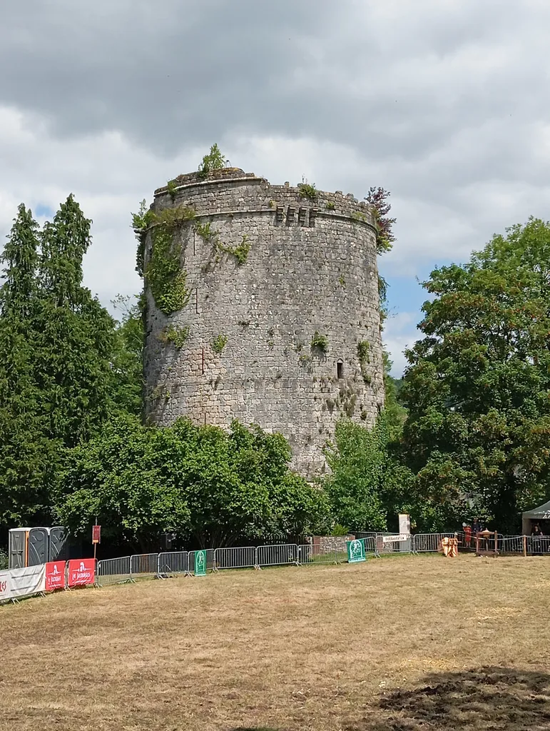 Château ducal de Lillebonne