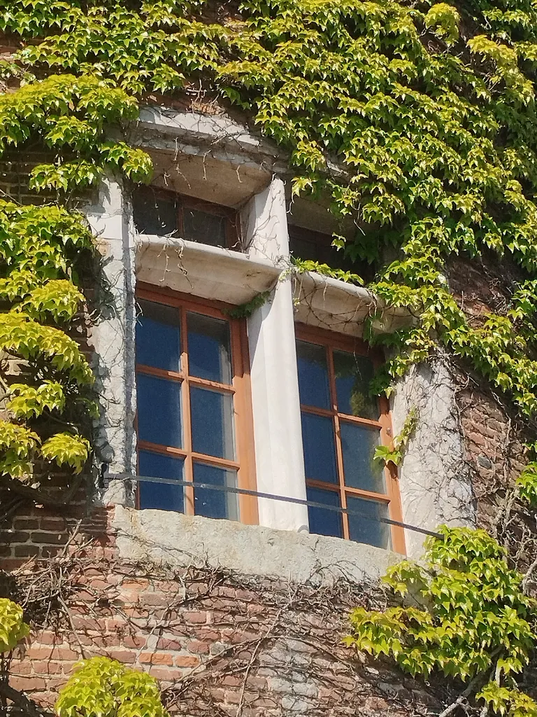 Tour Mailly à Saint-Léger-aux-Bois