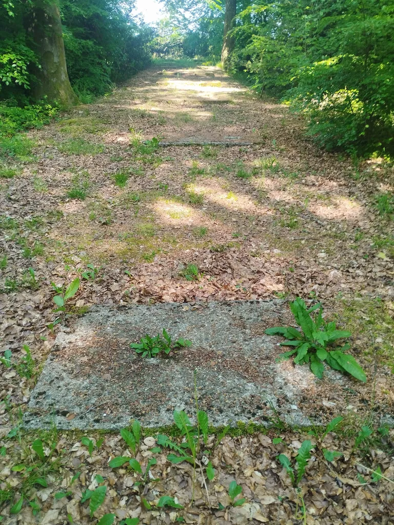 Base V1 N° 188 Le bout du haut à Rétonval