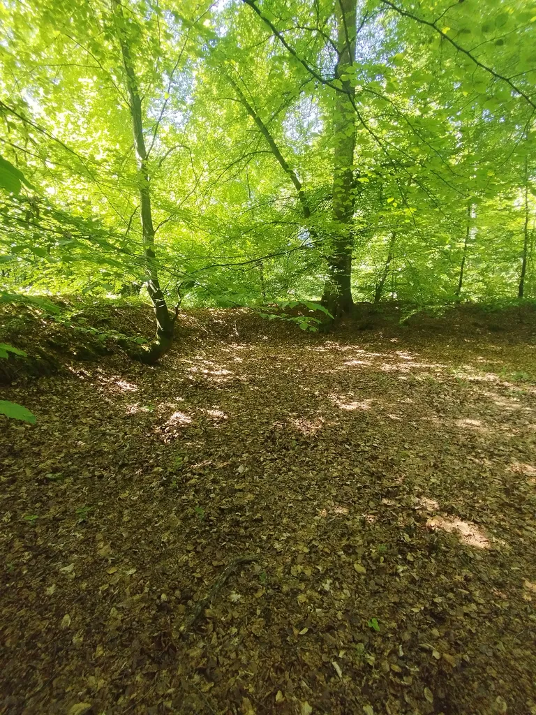 Base V1 N° 188 Le bout du haut à Rétonval