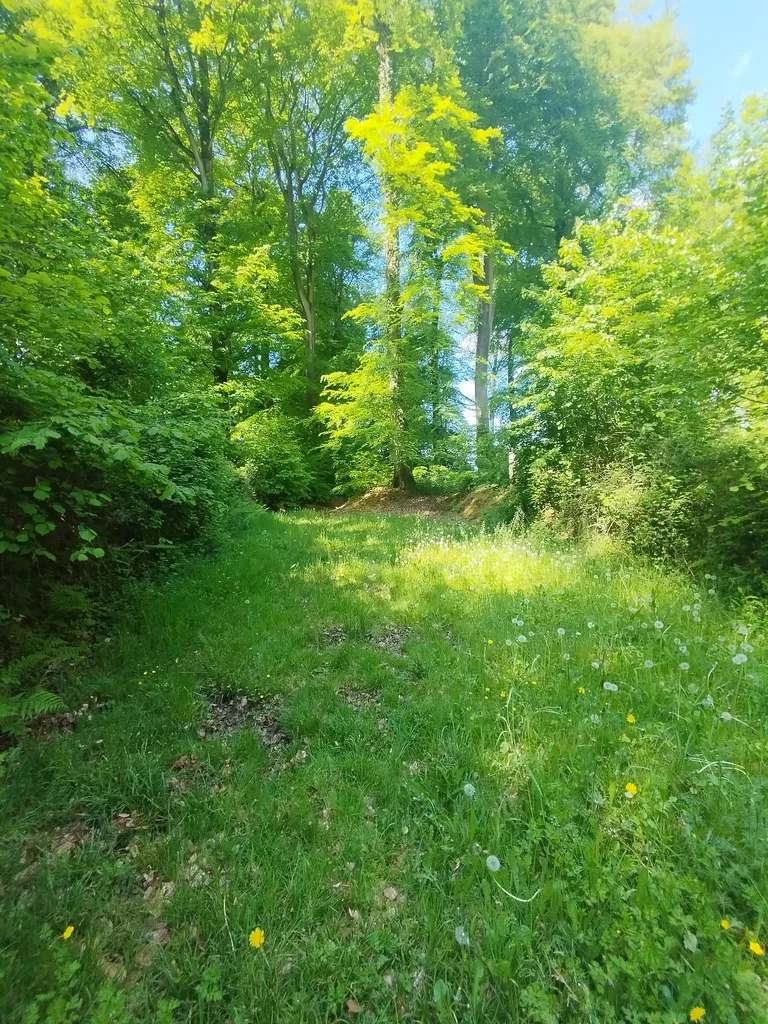Base V1 N° 188 Le bout du haut à Rétonval
