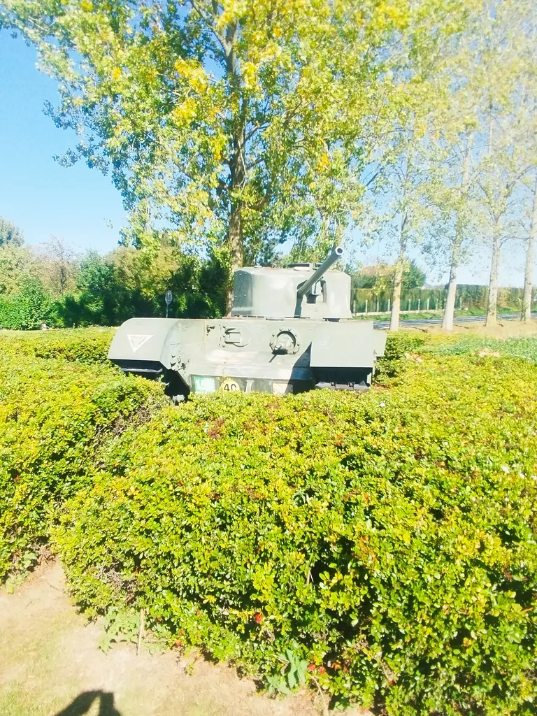 Char Astonia à Fontaine-la-Mallet