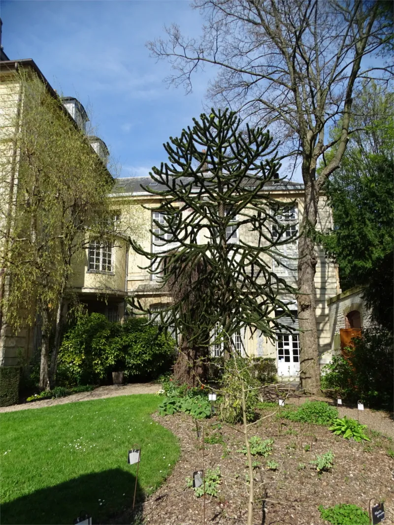Jardin du Musée Flaubert à Rouen